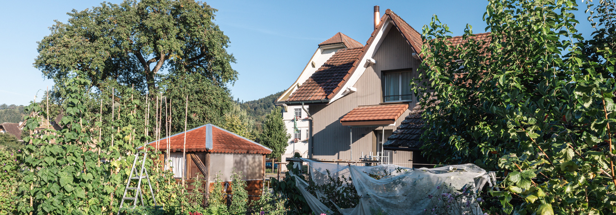 Umbau aus Holz in Gettnau, durch dubach plant